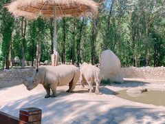 -北京野生动物园