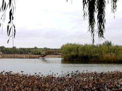 -白洋淀风景区