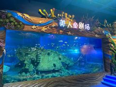 -太奥幻太奇海洋馆