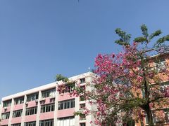 -广东外语外贸大学(白云山校区)