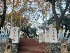 -太子山公园(园东路)