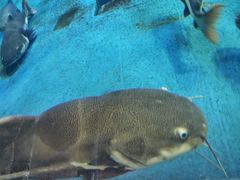 -多彩贵州城极地海洋世界