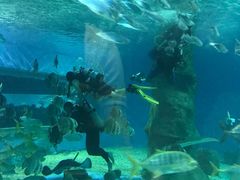 -北戴河圣蓝海洋公园