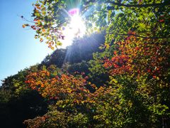 -大连天门山国家森林公园
