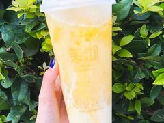 -茉沏(光启城店)