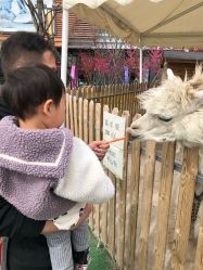 -萌宠亲子动物乐园(槐房万达店)