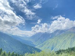 -黄龙山原始森林景区