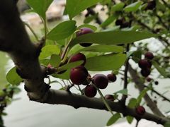 -迎泽公园