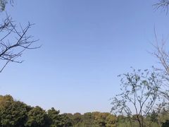 -上海鲜花港