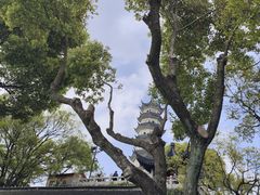 -苏州上方山国家森林公园