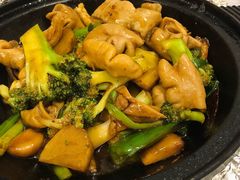 啫啫一品煲-粤·向群饭店(龙津东路总店)