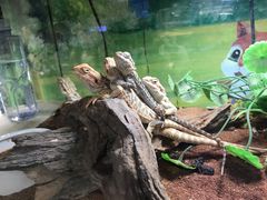 -藦茜花园宠物主题亲子互动体验馆(国顺东路店)