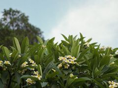-东山湖公园