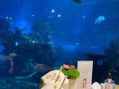 -涛·海底餐厅·美人鱼·自助餐·海底隧道(三亚海棠湾洲际度假酒店)