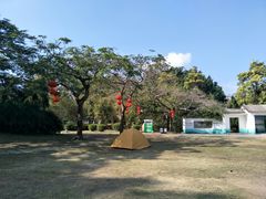 -四海公园(南山区)