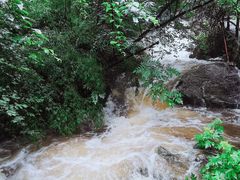 -青峰峡国家森林公园