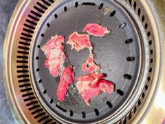 -杨记齐齐哈尔烤肉(五莲路店)