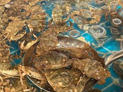 -海草馆自助餐厅(悦海店)