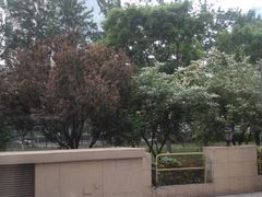 -北京港澳中心瑞士酒店·瑞士咖啡厅·自助餐