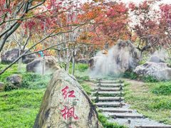 -广州市帽峰山景区