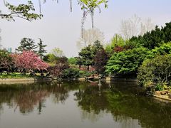 -嘉定紫藤园