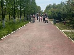 -上海浦江郊野公园-5号停车场