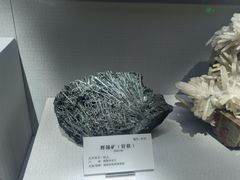 -湖南省地质博物馆