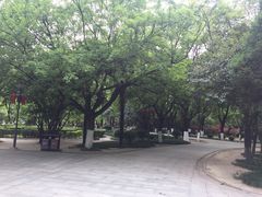 -渭滨公园