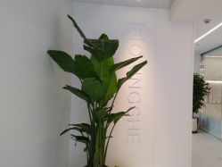 -魔型社烫染店