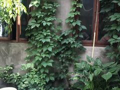 -铃木食堂(帽儿胡同店)