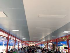 -大湾区中央湿地公园-十九涌