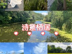 -溱湖国家湿地公园