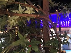 -湊湊火锅·茶憩(石家庄万象城店)