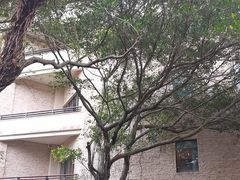 -海陵岛保利皇冠假日酒店·御公馆中餐厅 CANAL LNUA