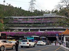 -深圳仙湖植物园-停车场