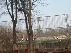 -吉林大学前卫校区南区-日新楼