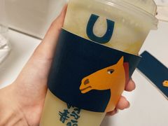 -春丽小马(济南恒隆广场店)
