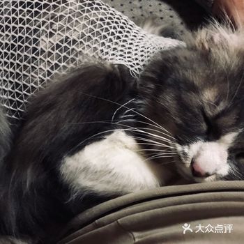 1-14 我们带着一岁的蓝白妹妹 横跨两个区