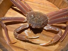 -綱元·海鲜豆捞(明州里店)