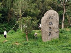 -杭州野生动物世界