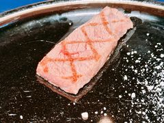 -火浪壹 by tigergrill(33小镇店)