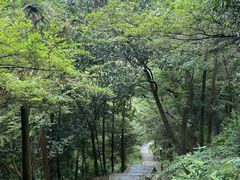 -北仑森林植物园