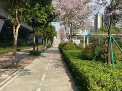 -宝安西湾红树林湿地公园