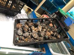 -金时代顺风大酒店(协泰店)