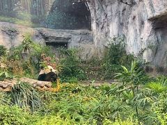 -石排湾郊野公园