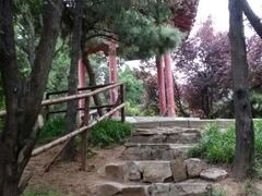 -西苑公园