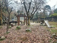 -都江堰中华大熊猫苑