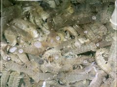 -聚德福海鲜家常菜(刘庄店)