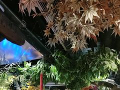 -城墙拐拐火锅(三峡广场黑金冠店)