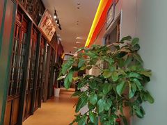 -福照楼汽锅鸡·云南菜(护国路店)